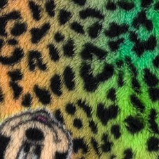 rainbow / leopard print