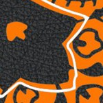 tennessee volunteers