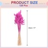 Unique Bargains Decorative Natural Dried Floral Bunny Tail Artificial Plants 120 Pcs - 2 of 4