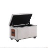 Storage Ottoman with Charging Station - Ore International - 2 of 4