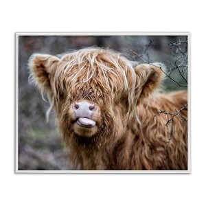 Stupell Industries Baby Cattle Licking Lips, 14" x 11" - 1 of 4