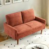 56" Velvet European Style 2-Seater Loveseat Sofa for Living Room, Apartment or Office with Sleek Design, Modern Vintage Flair - 3 of 4