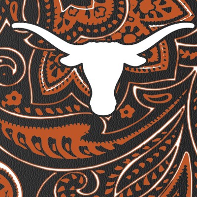 texas longhorns