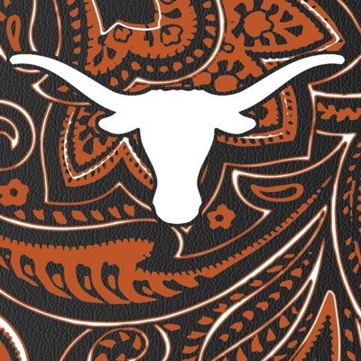 texas longhorns