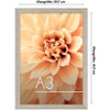 Americanflat Poster Frame with plexiglass - Available in a variety of sizes and styles - 2 of 4