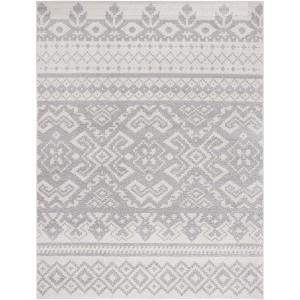 Adirondack ADR107 Non-Shedding Power Loomed Indoor Rugs - Safavieh - 1 of 4