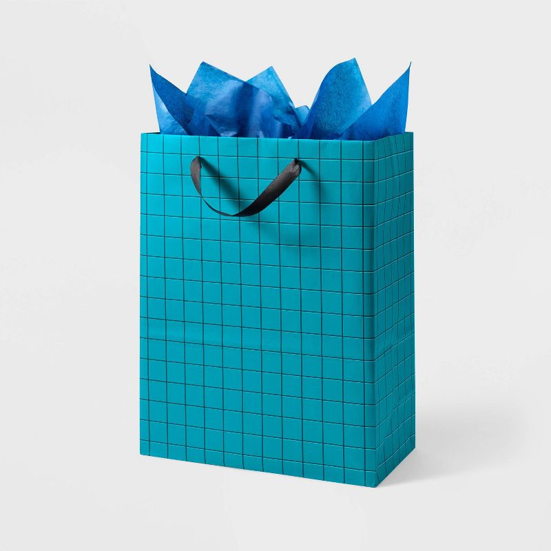 Large Birthday Gift Bag with Tissue Grid - Spritz&#8482;, 1 of 5
