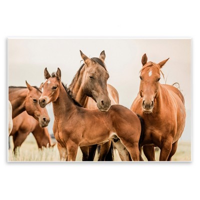Stupell Industries Horse & Foals Photography, 15" x 10"