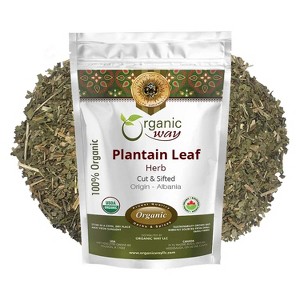 Plantain Leaf cut and sifted (16 Oz) - 1 of 4
