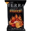 Terra Chips Screamin' Hot Vegetable Chips - Case of 12 - 5 oz - 2 of 2