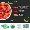 YumEarth Halloween Organic Gummy Fruits Candy - 10oz/20ct - 2 of 4
