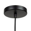 Artcraft Lighting Camila 1 - Light Pendant in  Black - 3 of 4