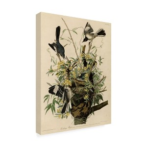 John James Audubon 'Mocking Birds and Snake II' Framed Art - 1 of 3