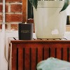 Benevolence LA Premium All Natural Soy Candles In Matte Black Glass Jar - 3 of 4