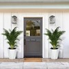 23 Inch Tall Outdoor Planters Set of 2, Self Watering Pots for Indoor Plants with Water Level Monitor & Drainage Hole & Wheels,Black - 3 of 4