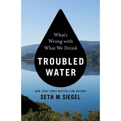 Troubled Water - by  Seth M Siegel (Paperback)