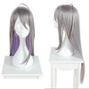 Unique Bargains Women's Wigs 31" Grey Light Pink with Wig Cap - 4 of 4