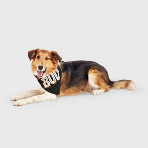 Halloween Glow In The Dark Bandana for Dogs - Hyde and EEK! Boutique™ One Size Fits Most - 1 of 4