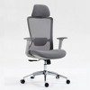 Homy Casa Ergonomic Mesh Executive Office Chair with Adjustable Headrest, 120° Recline and 360° Swivel Chrome Base, Gray - 2 of 4