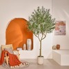DR.Planzen 6/7/8FT Single-Trunk Artificial Olive Tree in White Oval Planter, Slim Faux Tree Fake Olive Plant for Indoor/Outdoor Home Decor - 4 of 4