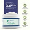 Sombra Warm Pain Relief for Arthritis & Muscle Aches - 3 of 4