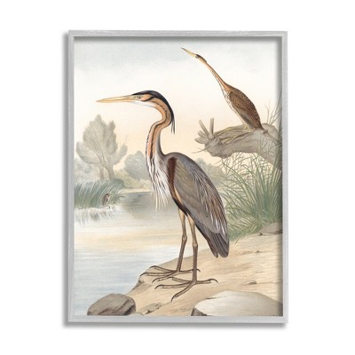 Stupell Industries Wild Heron Birds Perched Scenic Grassy Creek Framed Giclee Art