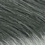 silverwhite - dove grey