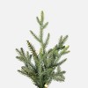 Vickerman 9' x 78" Bellevue Fraser Fir Artificial Christmas Tree with Warm White Mini Lights. - image 2 of 3