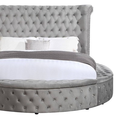 Gaiva Gray Velvet Queen Bed with Storage and Nailhead Trim