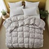Peace Nest All Season Paisley Floral Goose Feather Fiber Comforter Duvet Insert Vintage Style - 2 of 4