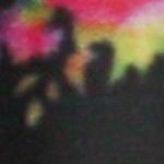 black hot pink cow