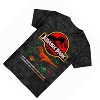 Boys Jurassic Park Dinosaur T-Shirt - Juassic World Classic Movie - 8Bit Dinosaur T-Rex Rawr Tie Dye Shirt - 4 of 4