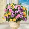 Collections Etc Artificial Pastel Rose Bushes Set of 3 - image 2 of 3