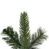 Vickerman Artificial Cashmere Pine Wreath - image 2 of 4