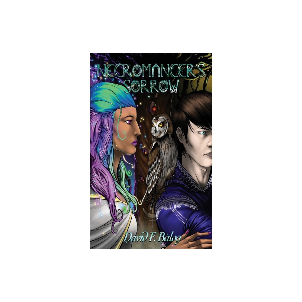 Necromancer's Sorrow - by David F Balog (Paperback)