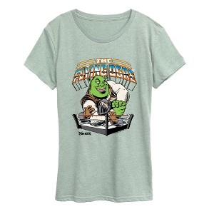 Women's Shrek Flying Ogre Short Sleeve Graphic T-Shirt - Heather Sea ...