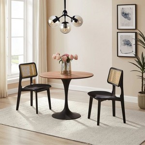 HOMLUX Set of 2 Rattan and Oak Dining Chairs with Ash Wood Legs includes Rubber Floor Protectors - 1 of 4