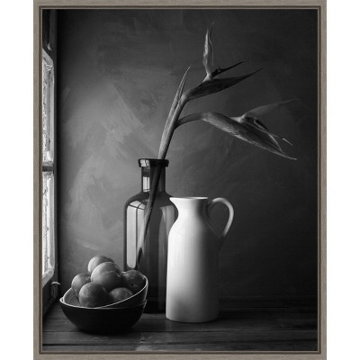 16" x 20" Plums and Jars Still Life by Luiz Laercio Framed Wall Canvas - Amanti Art