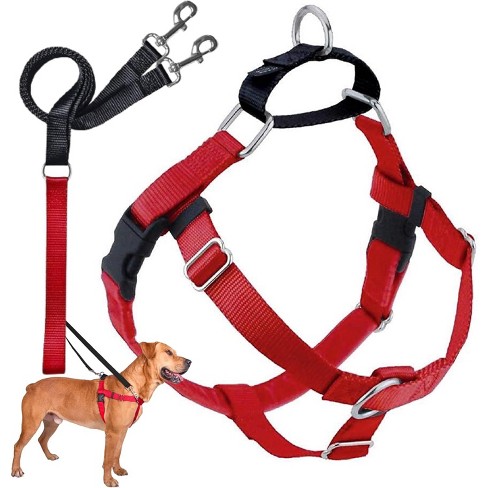 Fashion dog harness and leash