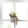 Sullivans Artificial Hanging Succulent In Pot 7"H Green - 4 of 4