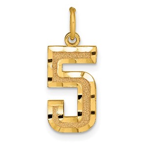 Black Bow Jewelry 14K Yellow Gold, Varsity Collection, Medium D/C Pendant Number 5 - 1 of 4