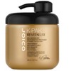 Joico K-PAK Revitaluxe Bio-Advanced Restorative Treatment, 16.2 oz - 4 of 4