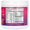 Zipfizz Immune Health, Caffeine Free, Berry, 10.58 oz (300 g) - 2 of 4