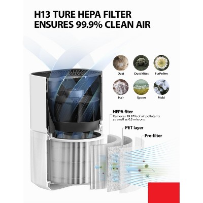 Toshiba Blue HEPA Air Purifier with Odor Absorbing Filter