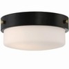 Craftmade Lighting Oak Street 2 - Light Flush Mount in  Flat Black - 2 of 3