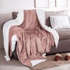 Velvet Plush Blanket with Faux Shearling Reverse - Great Bay Home - 2 of 4
