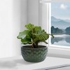 Angel Sar 3 Pack Glossy Ceramic Pots for Plants with Beautiful Texture, Modern Flower Pots for Indoor Plants Filled with Drainage Holes - 2 of 4