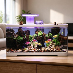 Aquarium Starter Kit, 17 Gallon Portable Plastic Fish Tank with AS + PP ...