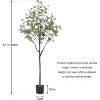 Eucalyptus Tree Artificial 4FT, Faux Eucalyptus Tree Artificial Trees with Lifelike Trunk and Realistic Silk Leaves for Home Decor Indoor - 2 of 4