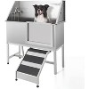 Professional Stainless Steel Pet Dog Bathing Station With Stairs - 2 of 4